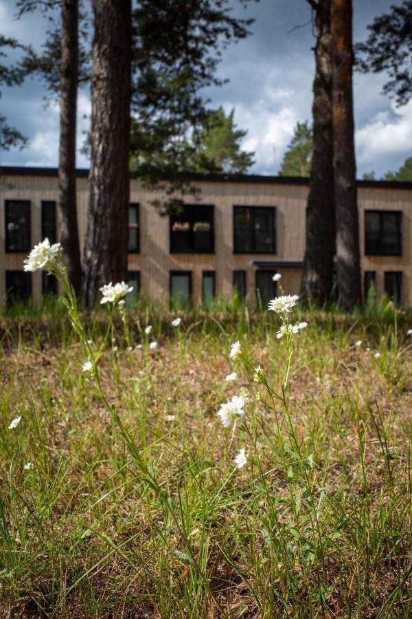 11 Pine View Apartment Ķesterciems Exterior foto